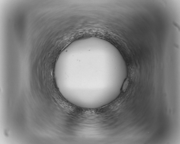 X0000099561489200805301530