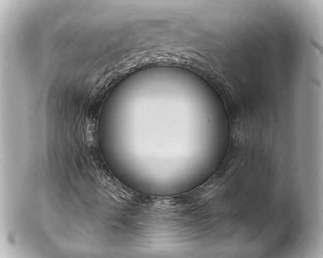 X0000099561490200805301530