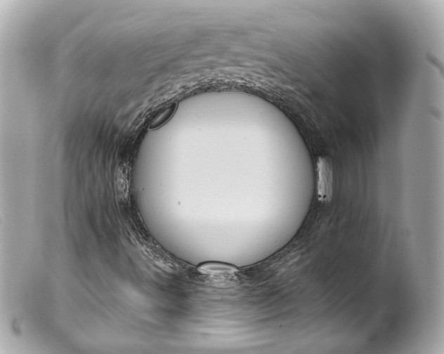 X0000099561491200805301530