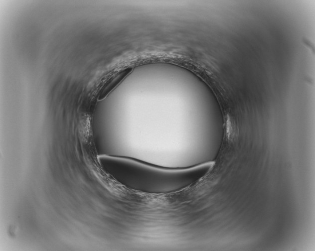 X0000099561492200805301530