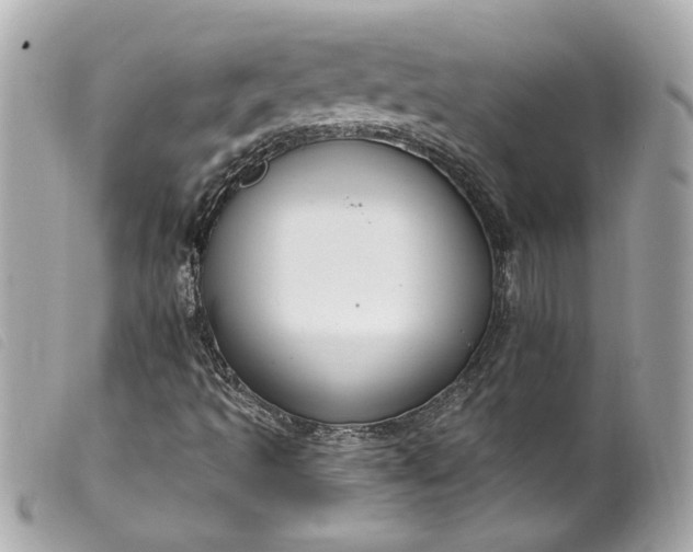 X0000099561493200805301530