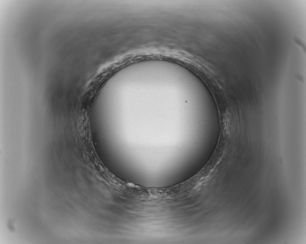 X0000099561494200805301530