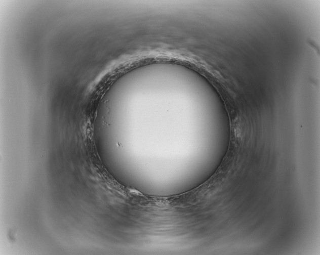 X0000099561495200805301530