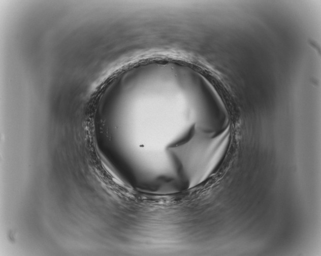 X0000099561496200805301530