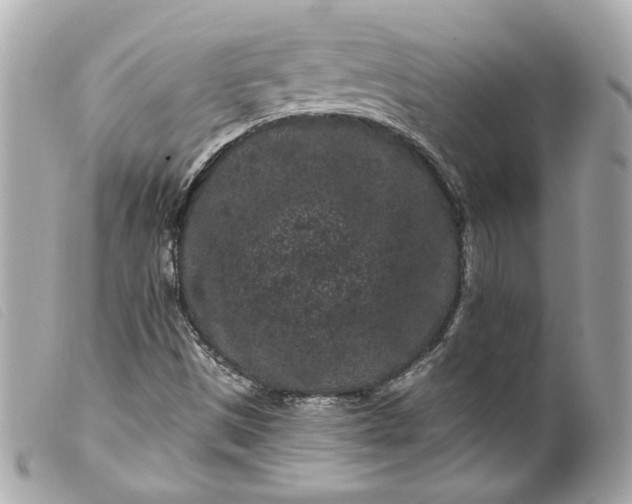 X0000099561497200805301530