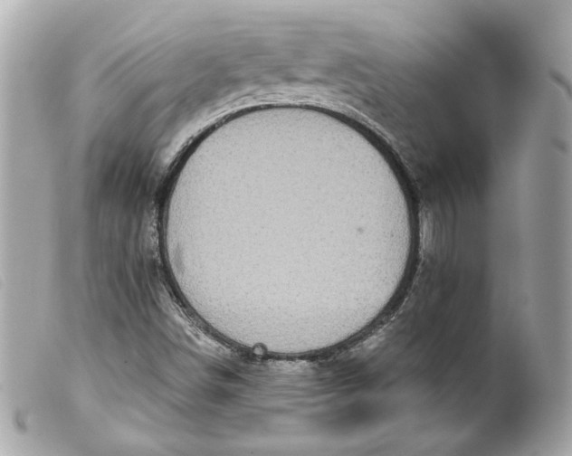 X0000099561498200805301530