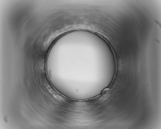 X0000099561499200805301530