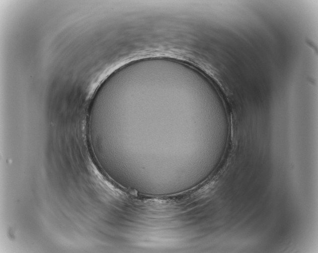 X0000099561500200805301530