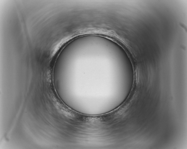 X0000099561501200805301530