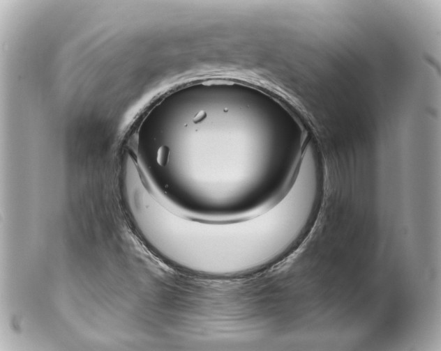 X0000099561502200805301530