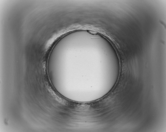 X0000099561503200805301530