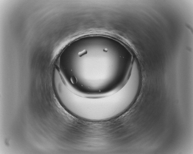 X0000099561504200805301530