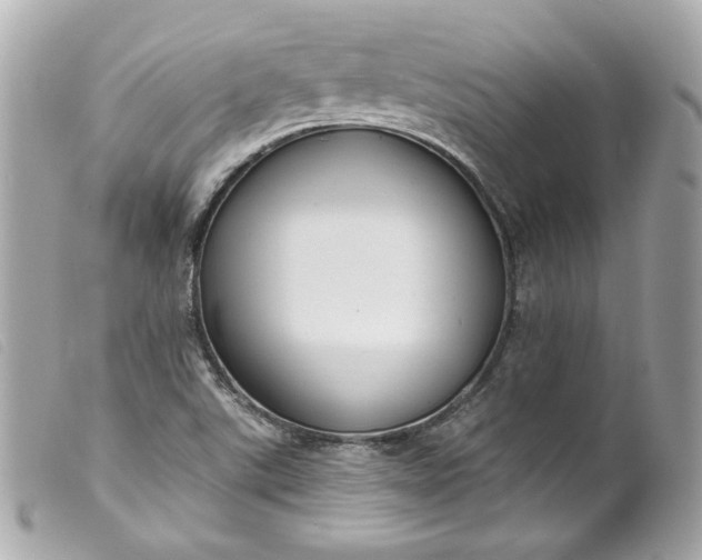 X0000099561507200805301530