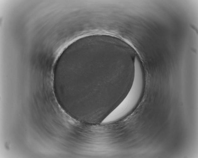 X0000099561508200805301530