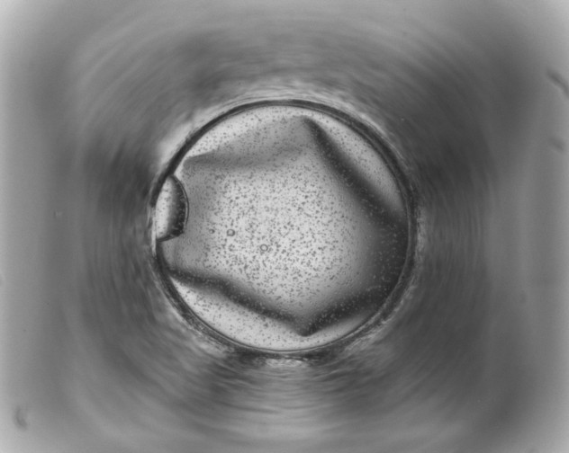 X0000099561509200805301530