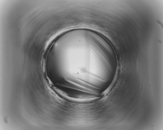 X0000099561510200805301530