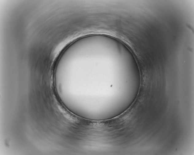 X0000099561511200805301530