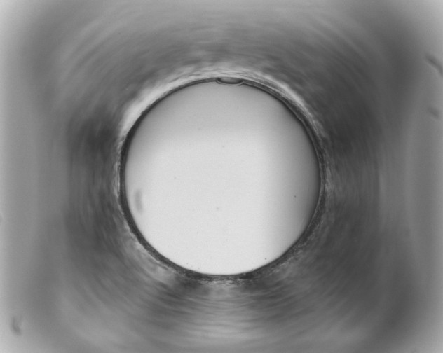 X0000099561512200805301530