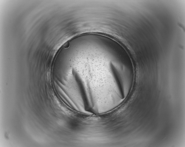 X0000099561513200805301530