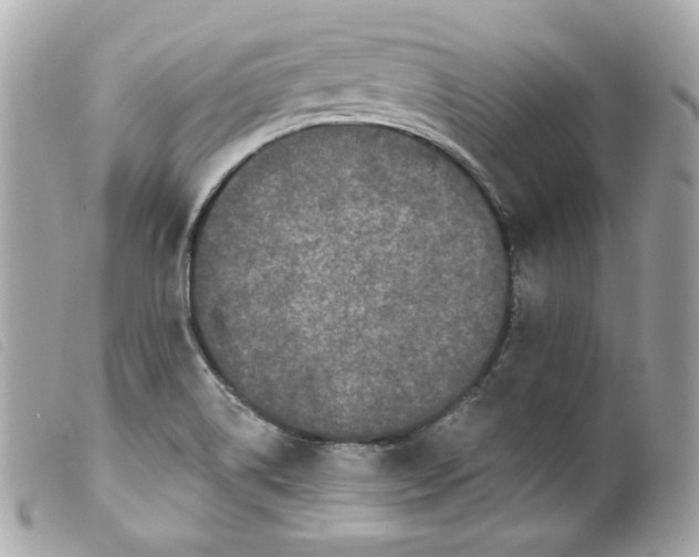 X0000099561514200805301530