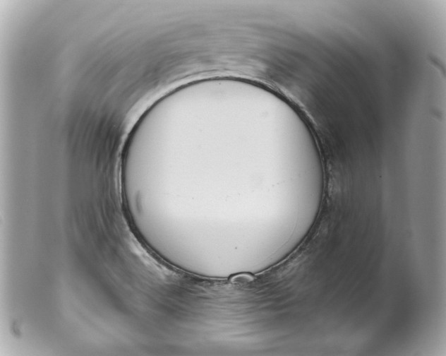 X0000099561516200805301530