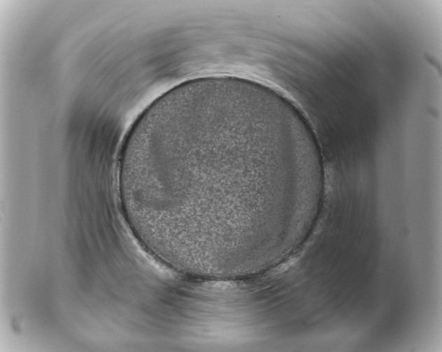 X0000099561517200805301530