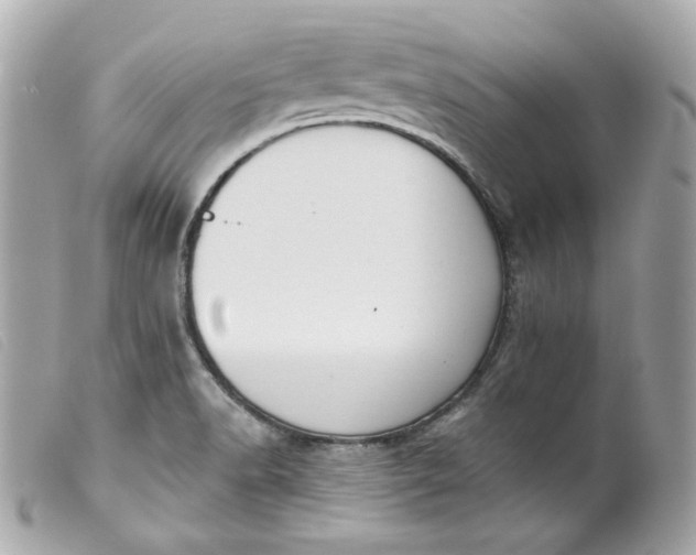 X0000099561518200805301530