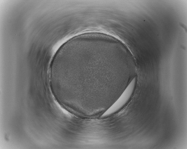 X0000099561519200805301530