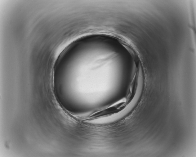 X0000099561520200805301530