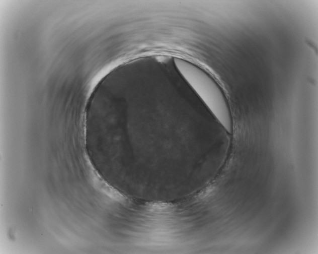 X0000099561522200805301530