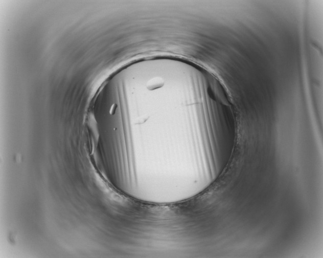 X0000099561524200805301531