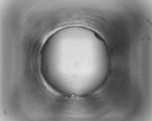 X0000099561526200805301531