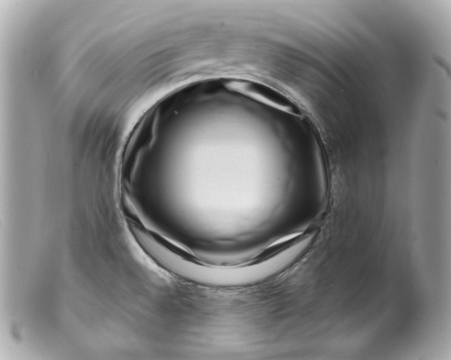 X0000099561528200805301531