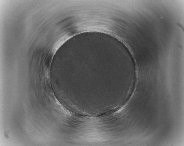 X0000099561529200805301531