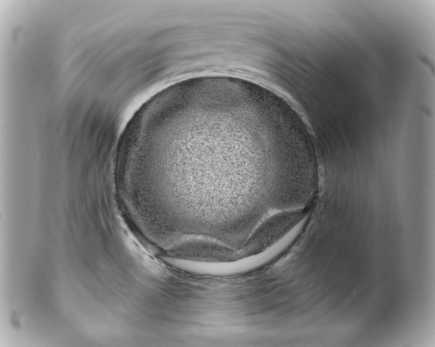 X0000099561530200805301531