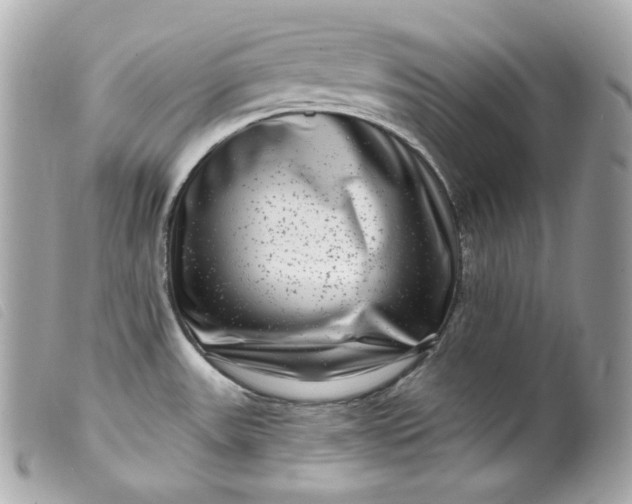 X0000099561531200805301531