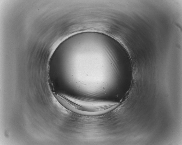 X0000099561532200805301531