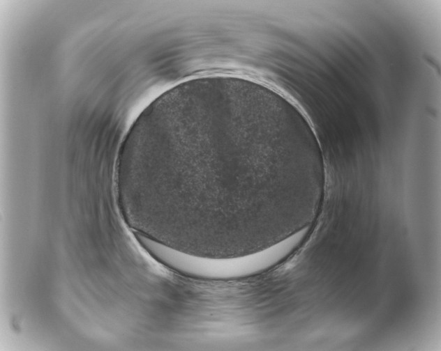 X0000099561533200805301531