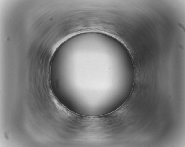 X0000099561534200805301531