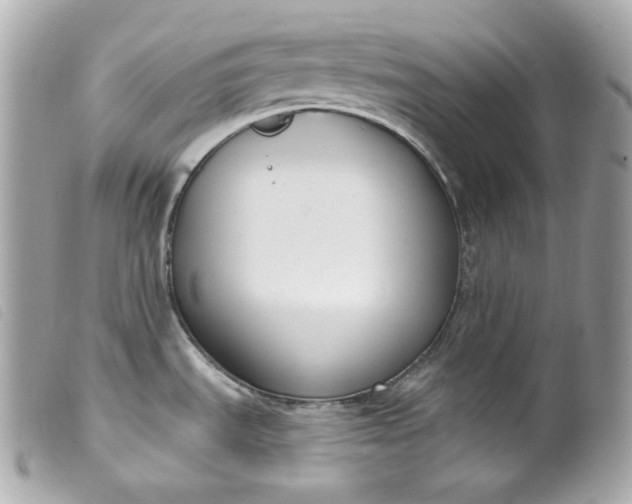 X0000099561535200805301531