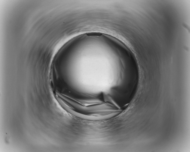 X0000099561536200805301531