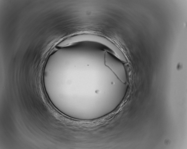 X0000099560001200806061550