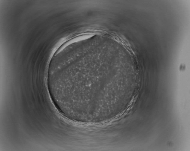 X0000099560003200806061550