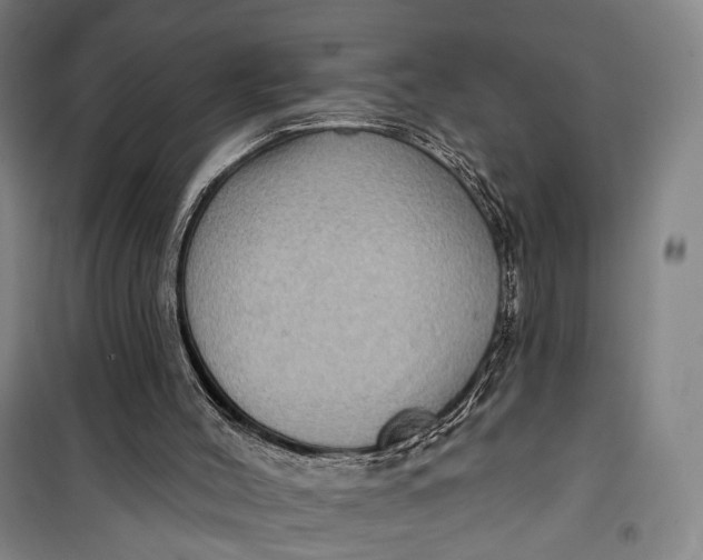 X0000099560004200806061550