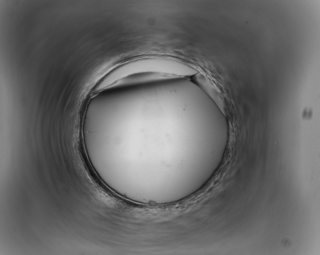 X0000099560005200806061550