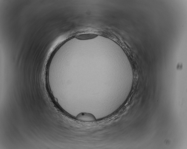 X0000099560006200806061550