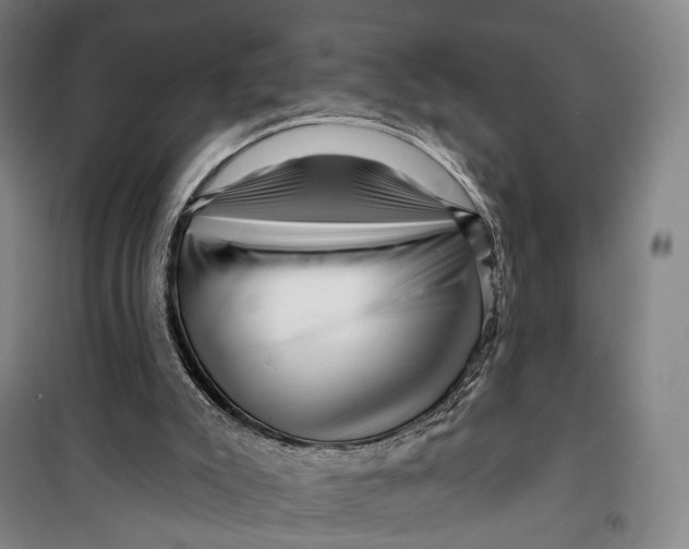 X0000099560007200806061550