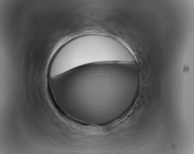 X0000099560008200806061550