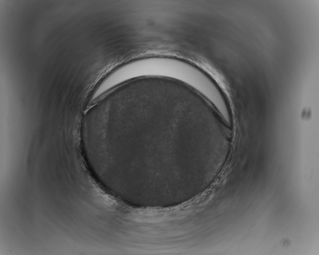 X0000099560009200806061550