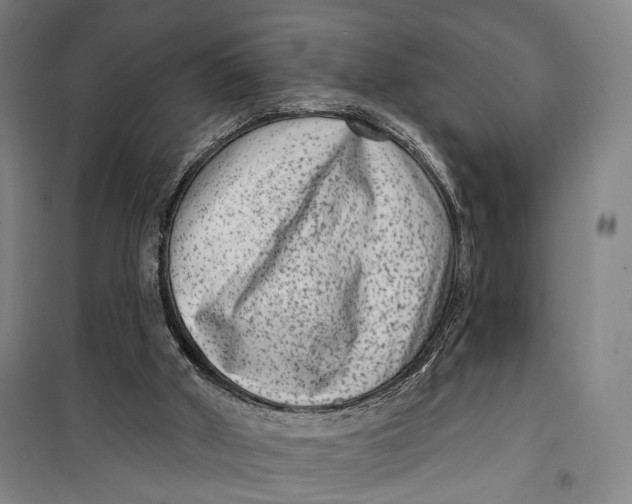 X0000099560010200806061550